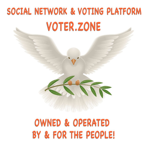 Voter.Zone: Reclaiming the Narrative & Redefining Democracy! – screenshot 1