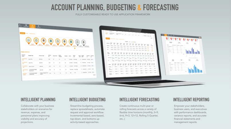 Intelligent Planning, Budgeting, and Forecasting Management – screenshot 1
