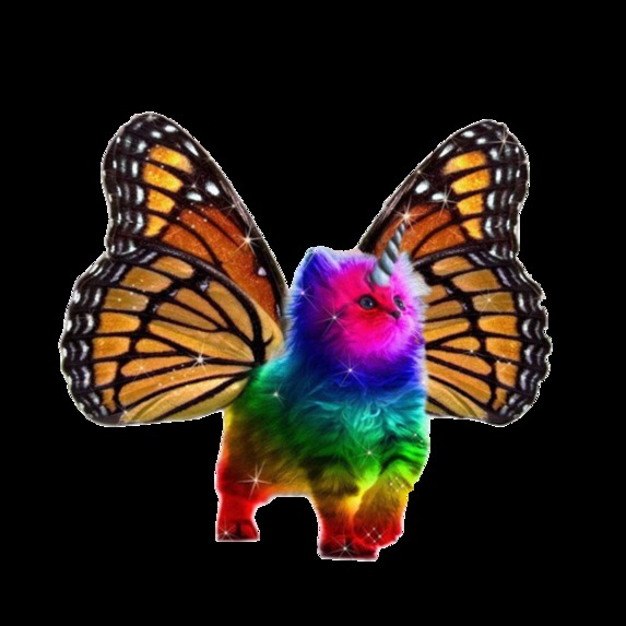 App-ID Magic – screenshot 1