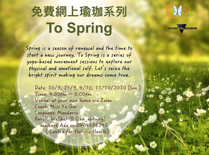 HYFHolistic Arts Therapy  – screenshot 4