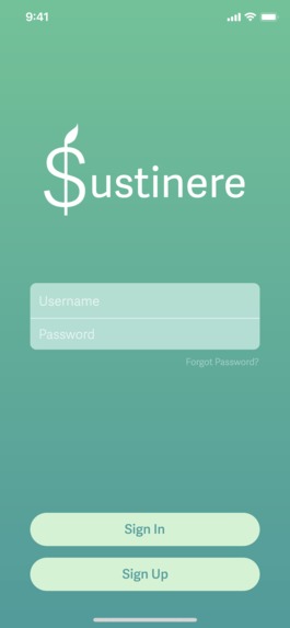 Sustinere – screenshot 2