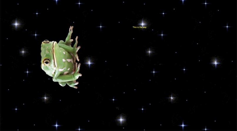 ToadYoga – screenshot 1