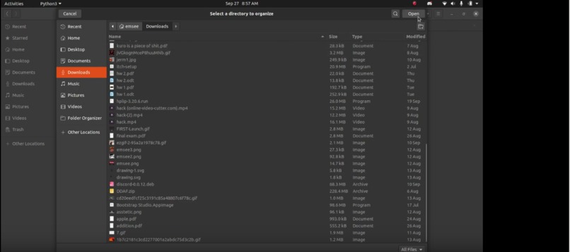 Directory Sweeper – screenshot 1