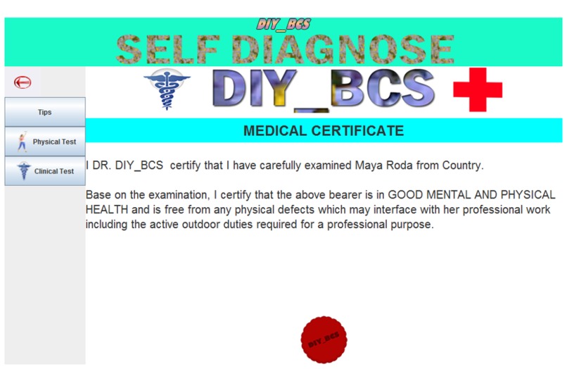 DIY_BCS – screenshot 7