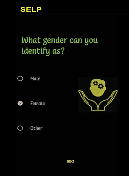 SELP – screenshot 3