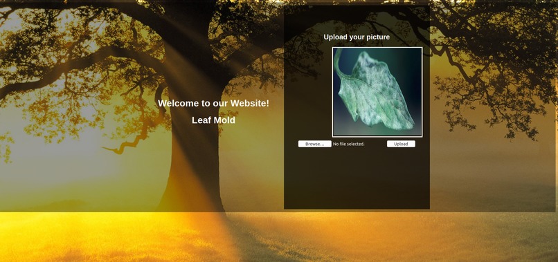 Plant Disease Identifier – screenshot 1