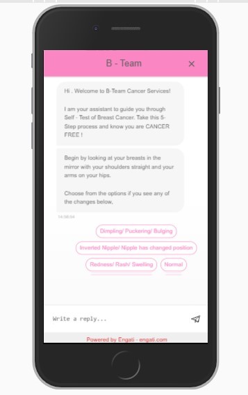 Flamingo - B-Team – screenshot 1