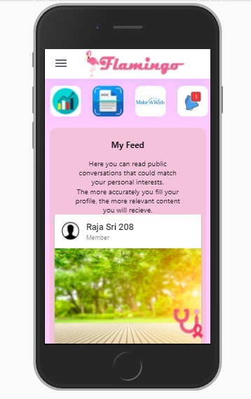 Flamingo - B-Team – screenshot 3
