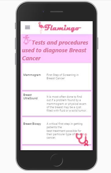 Flamingo - B-Team – screenshot 4