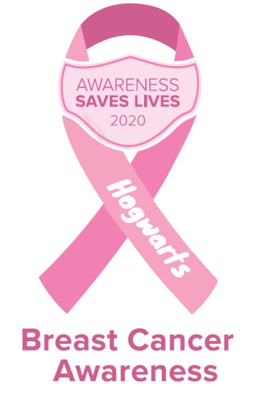 Team Hogwarts – screenshot 1