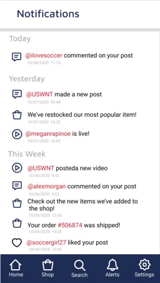 USWNT Engage – screenshot 7