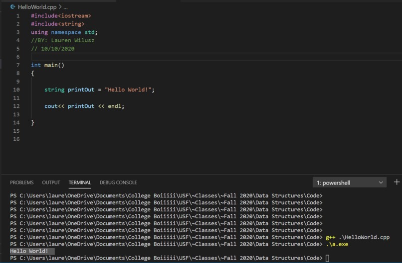 Lauren Wilusz's Project – screenshot 1