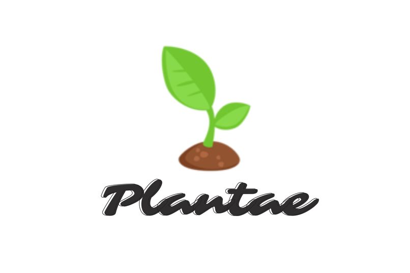 Plantae – screenshot 1