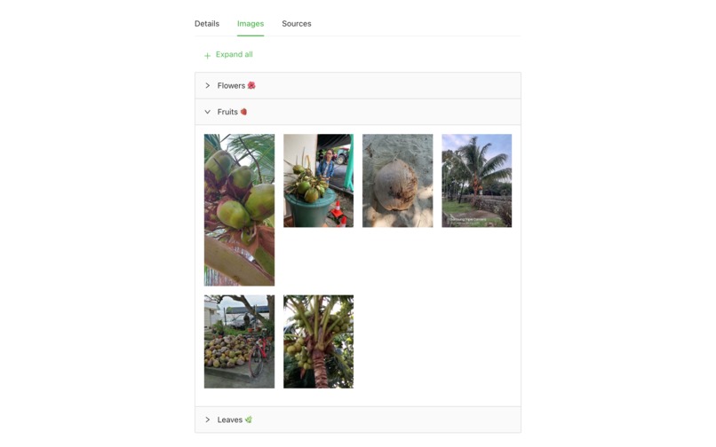 Plantae – screenshot 12