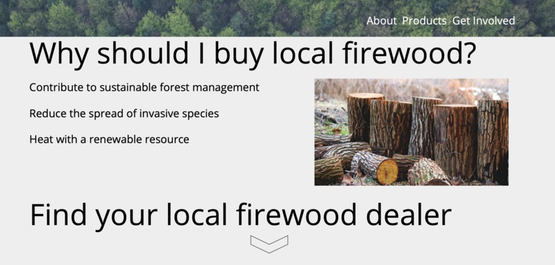 logged in – screenshot 5