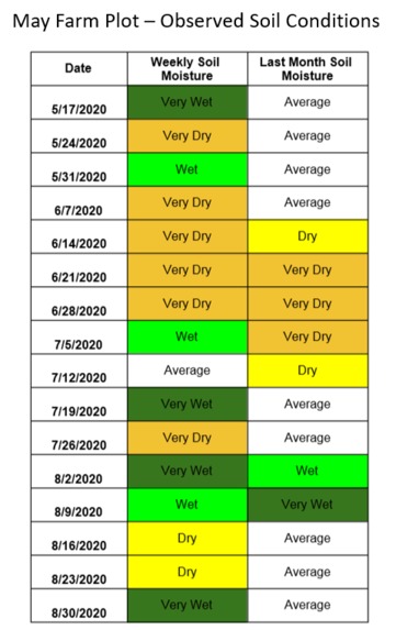 Weather and climate resilience for healthy forests – screenshot 5