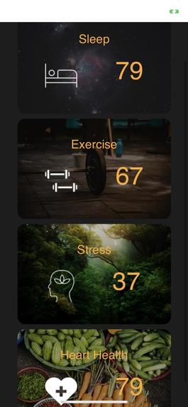 Health Port – screenshot 3