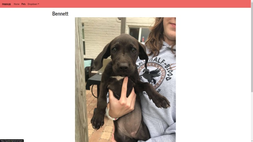 Pawternity Hub – screenshot 3