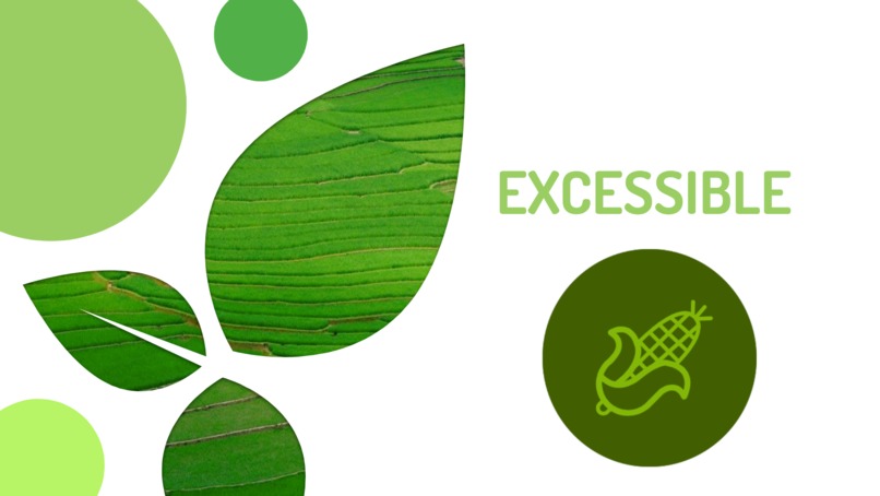 Excessible – screenshot 1