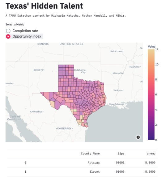 Texas' Hidden Talent – screenshot 1