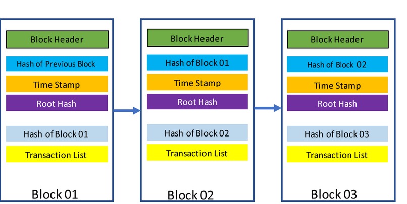 Block Ballot  – screenshot 1
