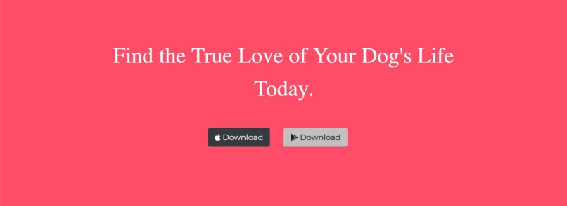 Tindog : tinder for dogs – screenshot 6