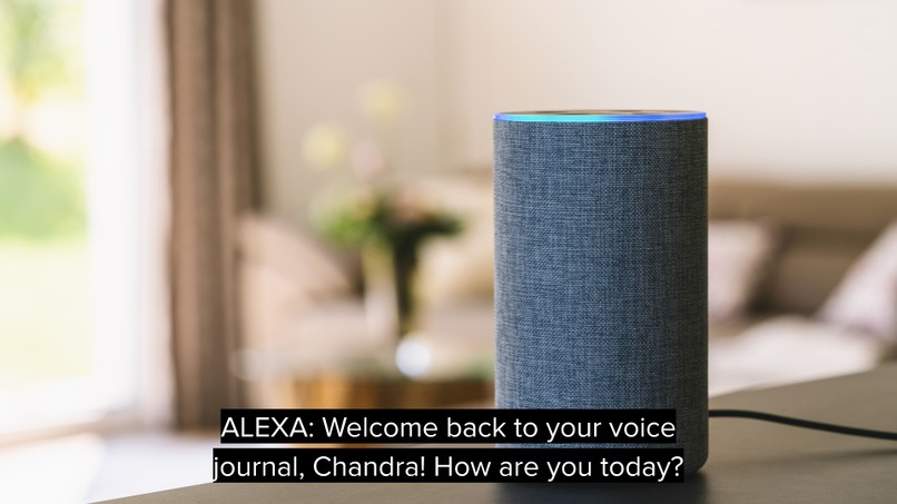 My Voice Journal – screenshot 4