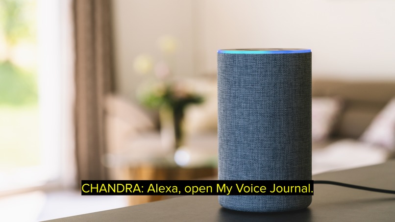 My Voice Journal – screenshot 3