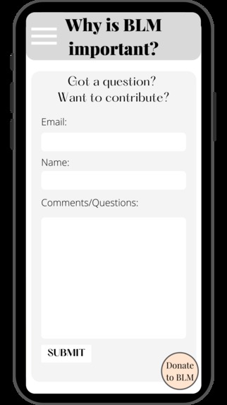 Why is BLM important?  – screenshot 1