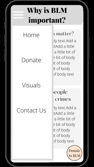 Why is BLM important?  – screenshot 2