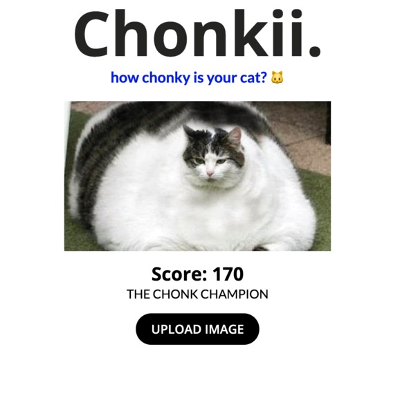 chonkii – screenshot 2