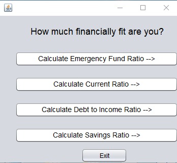 Fit for Finance – screenshot 3
