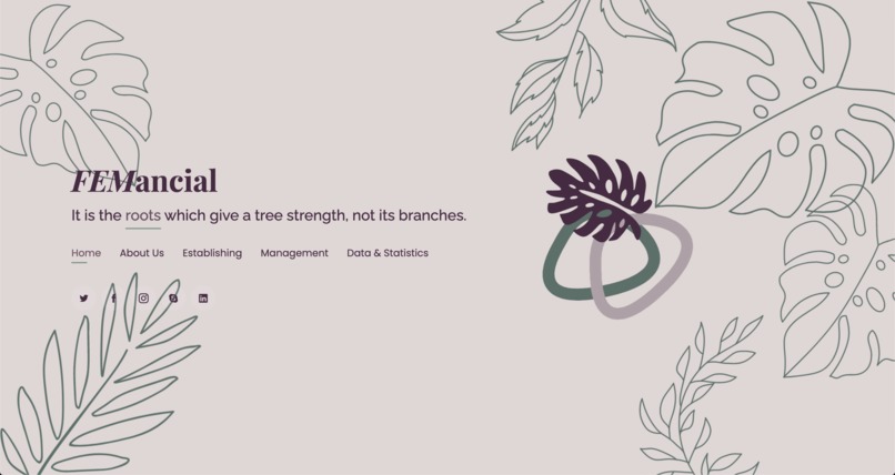 FEMancial – screenshot 1