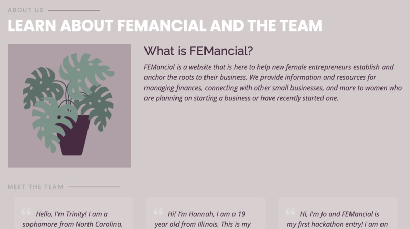 FEMancial – screenshot 2
