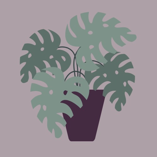 FEMancial – screenshot 5