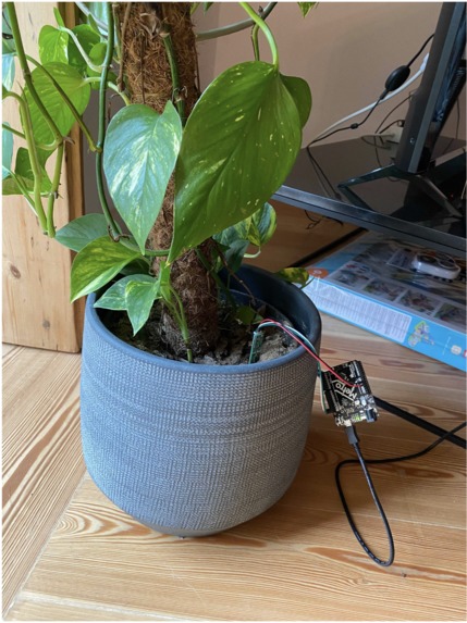 Plant Helper – screenshot 6