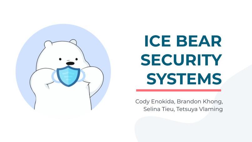Ice Bear Security Systems  – screenshot 1
