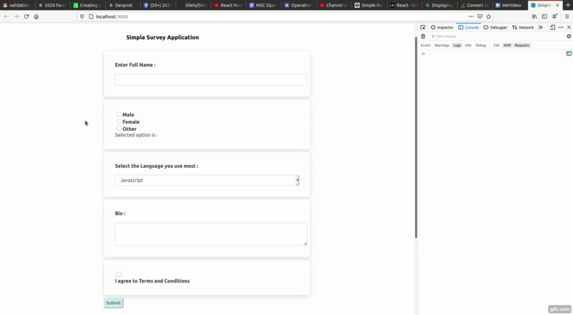 Simple Survey Application  – screenshot 1