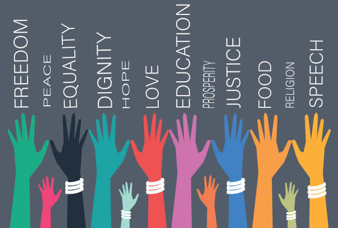 United Peace Consulting (UPC) – screenshot 8