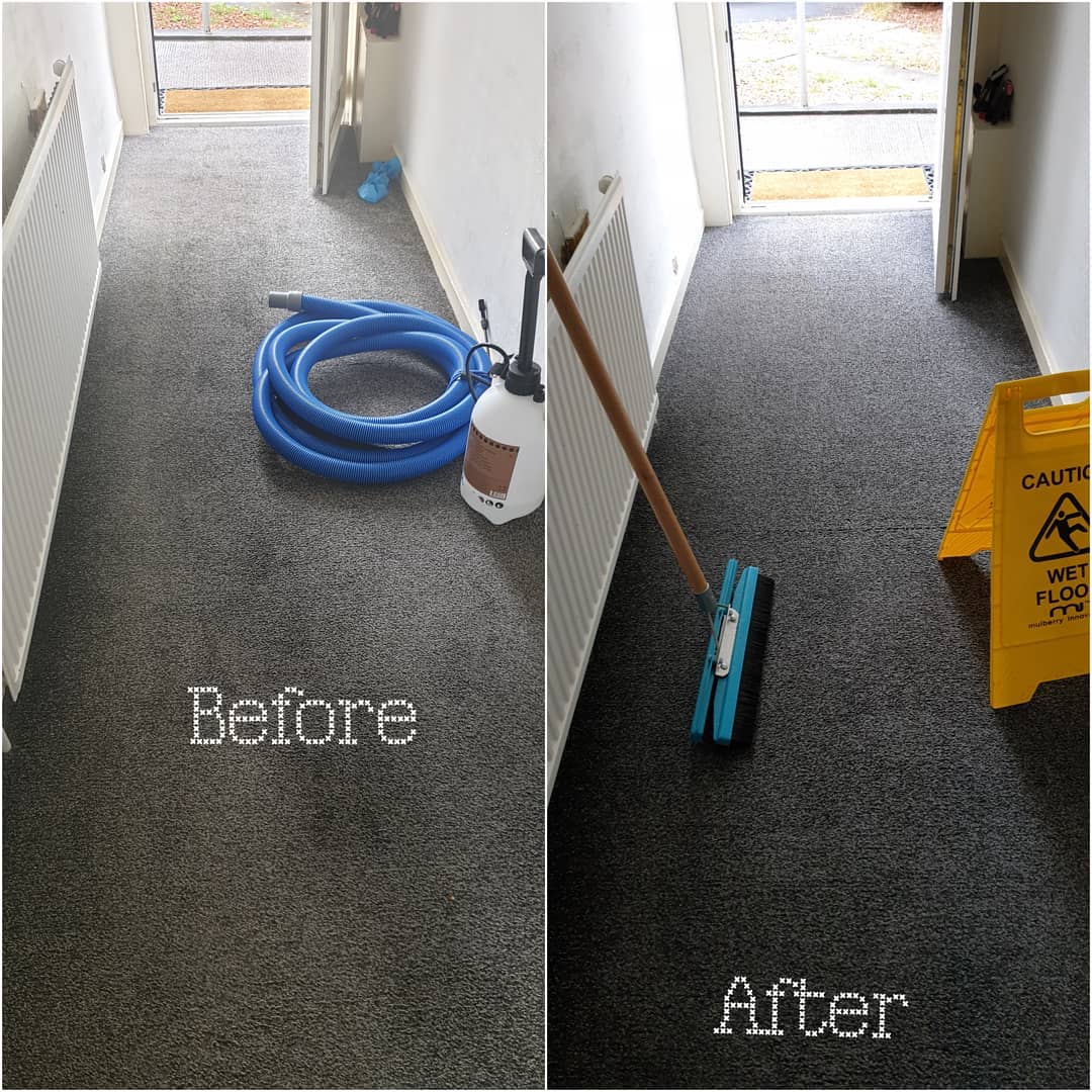 Smart Tricks to Properly Clean Your Carpets Devpost