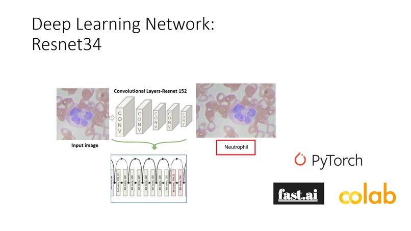 HemoCount - An AI-based White Blood Cell Counting Platform – screenshot 3