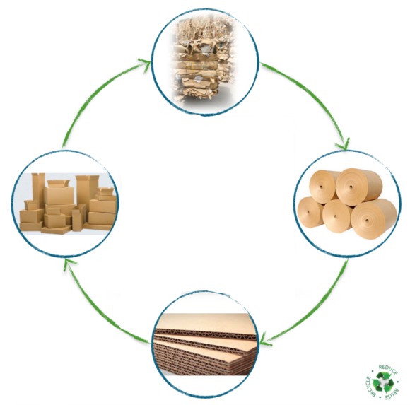 E-cart cartonbox management system – screenshot 1