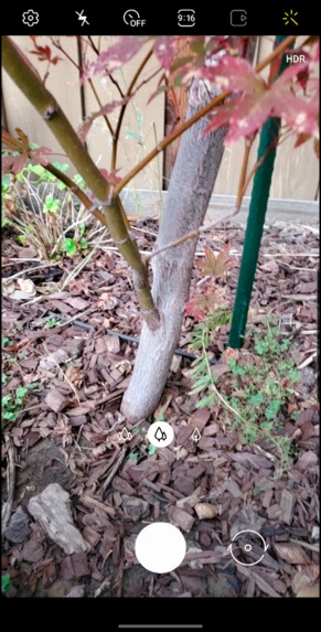 Haunted Hallows: Hunt for Halloween! – screenshot 6