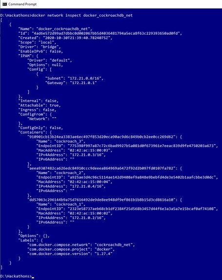 Happy Paws – screenshot 3