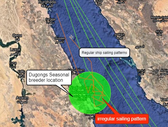 Marine Savior – screenshot 2