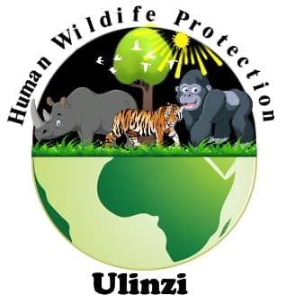 Ulinzi – screenshot 1