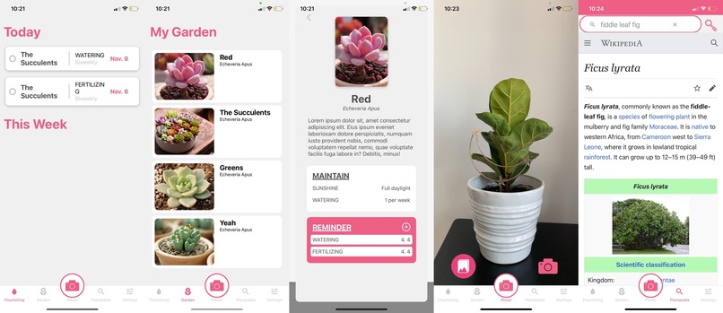 Flourish – screenshot 1