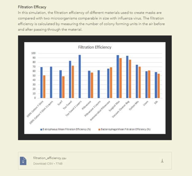 The physics of masks – screenshot 1