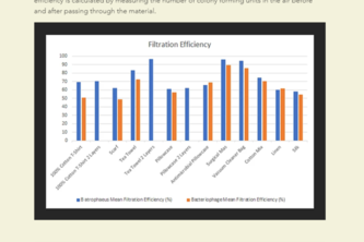 The physics of masks