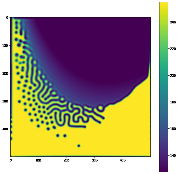 Mathematical Modeling of Animal Patterns – screenshot 4